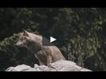I just liked “Details in Nature” on #Vimeo: