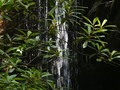 I just liked “A Hike Along Moccasin Creek” on #Vimeo: