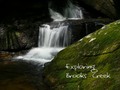 I just liked “Exploring Brooks Creek” on #Vimeo: