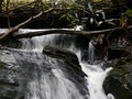 I just liked “A Hike Along Davis Creek” on #Vimeo: