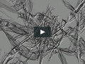 I just liked “Live” by FrankBonillatv on #Vimeo: