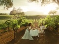 I just liked “Cinemagraph_Vineyard_Prores_Slate” on #Vimeo: