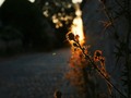 I just liked “Evening Walk” on #Vimeo: