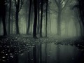 I just liked “The Paths of Sadness” on #Vimeo: