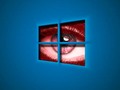 WindowsSpyBlocker: cómo eliminar el espionaje y la telemetría fácilmente #masoquistas
