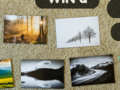 Win a free Fine Art Print!