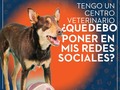 La pregunta del millón ¿según mi negocio que comparto en mis redes sociales? La respuesta obvia seria pues de lo qu…