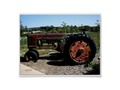 Vintage Farm Tractor  Poster