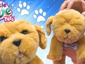 I liked a YouTube video from dctcfans Snuggles My Dream Puppy * Little Live Pets New Interactive Realistic