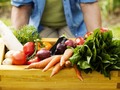 Cómo fortalecer tu inmunidad frente al coronavirus. Parte 1: dieta