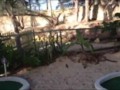 Miniature Golf Course at Holiday Inn Resort Montego Bay: via YouTube