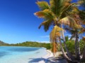 Visit the British Virgin Islands... | Petes Travel Center