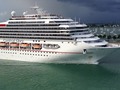 Top Items Needed for Cruise Vacation Found Online -