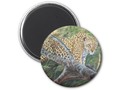 Jaguar On The Prowl Refrigerator Magnet via zazzle
