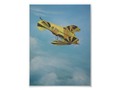 Gaffaney Poster via zazzle