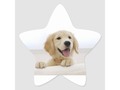 Love My Puppy! Star Sticker via zazzle