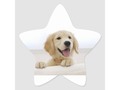 Love My Puppy! Star Sticker via zazzle