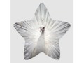 Snow White Peacock Star Sticker via zazzle