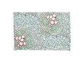 Aqua Molecules Pillow Case via zazzle