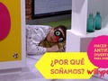 I liked a YouTube video El Sueño - Hacer un antifaz para dormir - WillyPedia