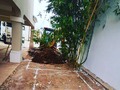 Iniciamos con los trabajos de construcción de alberca con jacuzzi y cascada; nos enfrentamos a un buen reto debido a los espacios pequeños pero como todo lo asumimos y lo superamos! #360Exteriores #Estilo360 #pooldesign #pools