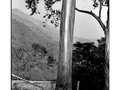 Serie: CARAcas Caracas - Venezuela 2004 © Aaron Sosa   . The city and the mask, the Caracas of Aaron Sosa. . What does one think of when one thinks of Caracas? When one is far away? When one doesn't know it? When one is there, experiencing home and climate? It is complex and useless to try to define this city, this geography trapped between mountains, this mixture of different bloods, languages, idiosyncracies, and cultures. . Caracas as photographed by Sosa has taken off the "mask" to become a "face". Before him, the city strips and reveals its most intimate truths. It tells little secrets to the camera of this oblique spectator, of this artisan of shadows and reflections. His images perfectly define that lapidary phrase of "mirrors and windows" spoken by photography critic John Szarkowski and what was the title for wha to be, perhaps, his most famous essay. Not only because for Sosa photography is a window where the image of his soul is projected, but rather - and above everything - because he uses these elements as a tool to make up a Caracas that reveals itself in its smallest details. Details that reunite, pertinently, the phases and face of an endless space and life, in eternal construction. . The typical symbols of identity of Caracas will not be found here; they are not typical postcard images. There are no Central Park towers, Bolivar Square, or Misses with a crown and sparkles. Sosa's photographs deconstruct the myth in order to seize the reality of a city that, like all cities, always exceeds the drama of the representations even when the photograph itself is a representation. . In this particular case, the discovery of a difficult city, that hides horrors behind the beauty and beauty behind the terrible. His photographs are proof of this, of what he reveals by hiding and hides by revealing. It's a Caracas that sometimes splits open the masks to expose the changeable truth of its face. . Kelly Martínez. .  #seriecaracas #caracas #laciudadylamascara #venezuela #aaronsosa #caraqueños #fotografovenezolano #ilfordhp5 #caracasvenezuela #venezuelans #blackandwhite #instablackandwhite #pentaxk1000 #analogphotography