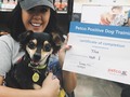 Proud #DogMom!! Titus graduated his first level of training school!!! He is learned how to be kind to others, sit, lay, come and stay!! Thank you @petco for this great training class!!