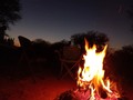🏕🔥🐶