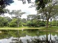Laguna Parque Recreacional Musiu Carmelo En El Corazon de Acarigua (Cortesía de Twitter: @InparqAcarigua)