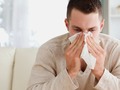 Los mejores antihistamínicos naturales para disminuir alergias