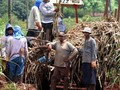 El presidente de la Federación de Asociaciones de Cañicultores de Venezuela (Fesoca), José Ricardo Álvarez, informó que la producción de caña de azúcar está por debajo del 20%. . Criticó que el Estado efectué importación de este producto sin ningún tipo de arancel, ni permiso sanitario. . Aseguró que la cantidad de hectáreas se ubica en 50 mil en el territorio nacional y afirmó que se ha perdido la mitad de los terrenos disponibles. . Lea más:  . #Actualidad #Economia #Produccion #CañadeAzucar #Fesoca #Estimaciones