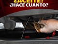 ¿Desde cuándo no haces un cambio de aceite? 🤔 ¿El auto ya comienza a hablar en cetáseo y tú lo sigues dejando pasar? 😲 .  No esperes a que comience a fallar. En Rogil, te proporcionamos el aceite ideal para tu vehículo. Contáctanos y asunto resuelto 👍📲 . . .  Estamos en:  Valencia Puerto Cabello Maracay Caracas Barquisimeto San Felipe San Fernando de Apure 📍 .  Contáctanos a través de nuestra mensajería WhatsApp, link en la biografía ☝️📲 . . .  #aceites #AceitesRoGil #lubricants #Lubricantes #Venezuela #vzla #motores #tractor #Caracas #cargapesada #importaciones #despachos #mayorista #valenciacarabobo #barquisimeto #maracay #listadeprecios #economia #cambiodeaceite #vialidad #productivo #ElNacionalWEB #Encomienda #aceitemineral #aceitesintetico