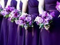 Colores vibrantes para el gran día! #ideas #tips #boda #wedding #cortejo #violeta #weddingplanner #eventplanner #loveplanner #catering #eventos #acopeventos