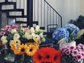 Some thoughts on St. #Valentine’s Day: Build relationships that are based on shared virtues and principles because feelings change and people almost never do. Choose wisely. Meanwhile, enjoy this photo of flowers 😜