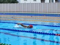 It’s July 1st—swimming into the final half of 2023 🏊‍♂️