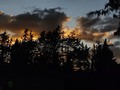 La naturaleza habla en lenguaje de luces y sombras. 🌲 #naturephotography #sky #sunset #clouds #fotosdecelular #bogota #colombia #photooftheday #naturaleza