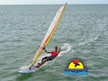 Alguien lo conoce?  Photo: @phuracan  #adicora #falcon #paraguana #venezuela #windsurf #turismo #deporte #tbt #northshore #sail #regata #board #goodvibes #beach #friends #mar