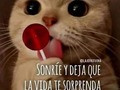 Meow! 😘😘😘😘😘