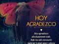 ☆• .* ° •.★. * ✧. • * ~ °.☆~ *.★~•°.• .☆~▪︎°.★•.✧•❋~°.☆*♡ 😇¡Gracias!🙏 •.★*..•