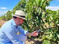 “Yo no he abandonado nunca mi tierra, estoy plantado en ella como una cepa”.  • Antonio Tabucchi •  Así me siento yo, plantado como estas cepas, cada vez que descubro algo desconocido para mí en cada rincón de mi país.   Llegar a Carora y admirar la increíble belleza de Viñedos Altagracia, es llenarse de orgullo por Venezuela y todo lo que nos regala esta generosa tierra de gracia.   Tenía tiempo queriendo hacer este viaje, todo el mundo me hablaba cosas espectaculares, lo planeaba y siempre había algo, trabajo, compromisos familiares o cualquier cosa que me impedía lograr mi objetivo… pero por algo pasan las cosas, como decimos en criollo.   Los “planetas se alinearon” y todo se conjugó, coincidió la maravillosa invitación de @bodegaspomar y mi graduación en la @academiasommeliersvenezuela .  No podía ser mejor momento.  Ese día me di cuenta que Dios me tenía preparado este viaje para que lo apreciara de otra forma, para que lo sintiera, lo disfrutara, entendiera mucho mejor y, sobre todo, para que me tocara el corazón.  Es una experiencia única, hermosa, divertida e inolvidable… no se la pueden perder!! Es reconocer, una vez más, que nuestra Venezuela es grandiosa, que todo lo que sembremos en nuestra tierra y trabajemos con amor, será cosechado con orgullo.  Es reconocer que Venezuela somos nosotros y toda la gente que con pasión la quiere grande y próspera, que la aman, como muchos de nosotros, como lo hacen los caroreños y todos los que trabajan en aquellas latitudes.  Soy testigo de su pasión.   Consejo: estén pendientes de los anuncios para los cupos del próximo año en el Club Pomar. Son dos vendimias anuales.   Ahhh!!! De las Uvas y Vinos les cuento después, pero de una vez les digo… ¡Divinos!🍾🍷  ¡Feliz noche y que tengan una maravillosa semana a partir de mañana!!!❤️  #venezuela #carora  #viñedosaltagracia  #cepa #vinotinto #vinoblanco #tierra #terroir  #pomar #clubpomar #redwine #whitewine  #tempranillo #cheninblanc #bodegaspomar