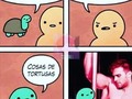 Así somos las tortugas !!