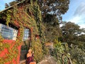 El sol me ilumino esta tarde, espero que la tuya también. Estamos en un maravilloso lugar, rodeado de naturaleza, con cabañas ecológicas y un confort especial @earthlodgeguatemala tienes que visitarlo