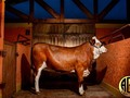 AGROFILM 🇨🇴 . . ✔📸FOTOGRAFIA PROFESIONAL (equinos, bovinos y foto producto) . . . ✔🎥VÍDEOS PARA ( equinos, bovinos, pesebreras, ganaderias,promocionales e  institucionales) . . ✔🚁VÍDEOS EN TOMAS AÉREAS (dron) . . . ✔📰📊PUBLICIDAD  Más info. 3006802320  Agrofilmmedios@gmail.com Www.miestablo.com