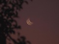 vieron la luna? yo la vi x3 🌙🌙🌙