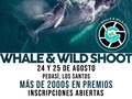 Vive Pedasí ahora con tu cámara en Mano, porque nos fuimos a Disfrutar de la #RutaDe Gigantes. Hemos preparado un super Trip diseñado para fotógrafos amantes de la naturaleza y puedes participar con cualquier tipo de cámara, es tu momento de fotografiar Ballenas Jorobadas en su entorno natural.  Premios WHALE & WILD SHOOT 1er lugar:  500$ en efectivo. Estadía en hotel carey para dos personas. Tour a isla iguana para 2 personas. Certificado de 100 dólares en impresiones en todo foto. Certificado de 30$ en la tienda Bojo.  2do lugar: Estadía para 2 persona en hotel carey. Certificado de 20$ en la tienda Boho. Certificado para 1 clase de surf en la escuela surf safari playa venao. Certificado 15% de descuento en toda la tienda Todo Foto Panamá. Sesión de foto con Luiggi Juarez y Ahnimale. 1 caja de cerveza artesanal Que xopa. 100$ en efectivo.  3er lugar: Pasa día con 10$ consumibles en Hotel carey. Certificado de 15% de descuento en la tienda TodoFoto Panamá. Certificado de 10% de descuento en la tienda Bojo. 50$ en efectivo. 1 caja de cerveza artesanal Que Xopa. Certificado de 20% de descuento en Restaurante Mangle. Sesión de foto con Luiggi Juarez y Ahnimale.  Costo de la inscripción son *$120.00* balboas y tienes incluido Tranporte ida y vuelta desde Panamá hacia Pedasí, 2 dias 1 noche en el Hotel Carey con Habitación con aire acondicionado, desayuno incluido, piscina, área bar y un espectacular tour de observación de ballenas jorobadas a Isla Iguana con lancha ida y vuelta, servicio de snacks, sillas de playa, snorkeling y almuerzo al finalizar el tour en el Restaurante Mangle en Pedasi.    @hotelcarey @mangle.pedasi @ict.experiencias @municipiodepedasi @bohobeachpedasi @greenvillagepedasi  @luiggijc @todofotopanama @cmarketingpanama @papelitos @villa5ta_cerveceria @safarisurfschoolplayavenao @fincatv @ahnimale @eestrada_wildlifephoto @greydiazfoto @ricardofvillalaz @gabrielemanuele