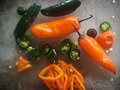 La Magia pura de los ingredientes hacen que nuestras salsas sean Únicas, llenas de sabor!!! #ADICTOACODI  #ingredientescolombianos  #aji #hotsauce  #fresh #chiles #salsaspicantes #salsascolombianas