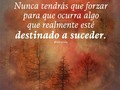 Lo que es para ti, ni aunque te quites y lo que no es para ti, ni aunque te pongas.  Personas, cosas y circunstancias cumplen un objetivo en nuestras vidas y cuando dejamos de tenerlas es, quizás, porque cumplieron su propósito, ese que necesitamos para seguir avanzando hasta nuestra evolución.  El tiempo que enfocamos nuestra atención en el dolor que nos genera lo perdido será proporcional al estancamiento que podamos tener, siempre y cuando seamos capaces de reconocer la ganancia obtenida ante esa perdida.  Podemos vivir el duelo, sí, pero por un período determinado, no extendido y tampoco seguir caminando pensando en lo perdido en lugar de lo ganado lo contrario indica que aquello nos poseía y aún lo hace desde el pensamiento.  Quien hoy se fue de nuestra vida, aunque nos cause dolor, mañana lo agradeceremos y entenderemos el por qué estuvo y ya no.  Hasta lo imposible es posible y si aún te mantienes en el drama, busca ayuda para sanar en lugar de forzar algo que está destinado a suceder.  . . .  #crecimientopersonal #autoestima  #duelo #proposito #evolución #espiritualidad