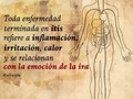 Todas las enfermedades terminadas en Itis están relacionadas con la ira o la frustración al estar vinculadas con inflamaciones.  La respuesta inflamatoria (inflamación) se presenta cuando los tejidos son lesionados por bacterias, traumatismo, toxinas, calor o cualquier otra causa.  El tejido dañado libera químicos, entre ellos histamina, bradiquinina y prostaglandinas.  Tomando como ejemplo únicamente la histamina, se suele tomar un antihistamínico cuando reaccionamos a un ente externo con alergia por mencionar una patología.  Nuestro sistema inmune se activa y se pone en estado de alerta generando inflamación y calor.  Estas reacciones se vinculan con la ira pues es está emoción la que nos mantiene en estrés sostenido o en estado de simpaía  Citaré unos ejemplos:  Amigdalitis y tiroiditis se relacionan con aquello que callamos, dejamos de crear o desarrollar; también suele suceder cuando existen secretos incómodos.  La bronquitis se relaciona cuando sentimos bronca ante alguien o algo, y más aún cuando nos quitan algo que deseamos.  La artritis es la ira hacia una situación o persona, o aferrarnos a alguien o a una idea de mala manera.  La gastritis es la ira ante una situación indigerible, muy frecuente cuando existe conflicto entre las parejas.  La apendicitis aparece cuando sentimos frustración ante una situación que nos toma desprevenidos o nos encontramos en un callejón sin salida.  La cistitis se relaciona con conflictos emocionales con las parejas sexuales y conflictos en el territorio cuando sentimos que perdemos terreno ante alguien que se impone ante nosotros.  La hepatitis tiene que ver con la ira que nos produce el miedo a morir de hambre, a la crítica, al resentimiento.  La conjuntivitis aparece cuando nos molesta lo que vemos o no nos ven como queremos.  Estás son algunas de las razones por las que pueden aparecer estás enfermedades, para dar con el origen se debe evaluar en terapia.  En mi Feed podrás encontrar algunas enfermedades referidas anteriormente o en mi cuenta alterna @elorigenemocional dónde concentro el contenido exclusivo para tal fin.  Menciona cuál consideras que es la causa de tu enfermedad y yo te validaré si esa es 🙂