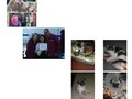Mi todo ♥ 🥺