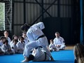 El año pasado fue uno muy importante para mi Karate 🥋 Recibí mi primer dan de manos de mis sensei Takeshi Miyagi de Tokyo, y Héctor García de Bogotá. Pude vincularme a la Federación internacional de Shidokan, y participé en mi primer mundial de Karate en Okinawa!!! Me sorprendí recurrentemente al ver cuanto falta siempre por aprender, pero me prometí no compararme y solo pensar en ser mejor de lo que fui el día anterior. Entendí por fin como el karate se usa más allá del dojo y que no solo entrenamos por defensa personal, sino por crecimiento personal, en cuerpo, mente y espíritu. No quería dejarlo guardado sin compartirlo, así que acá esta. #karate #martialarts #karatedo #shorinryu #shorinryukarate